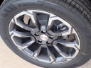 Thumbnail image of 2025 GMC Terrain at Uvalde Chevrolet
