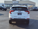 Thumbnail image of 2019 GMC Terrain at Serra Buick Gmc Champaign