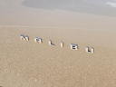 2022 Chevrolet Malibu LT at Frank Brown Honda GMC