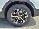 Thumbnail image of 2024 Kia Sportage Hybrid at T & T Coast Buick Gmc
