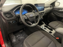 Thumbnail image of 2024 Ford Escape at Clift Buick-GMC Truck