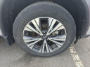 Thumbnail image of 2022 Nissan Rogue at Hamilton Honda