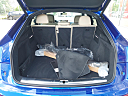 Thumbnail image of 2022 Audi Q5 Sportback at Audi Bridgewater