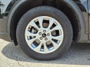 2023 Ford Escape Active at Berglund Chevrolet