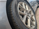 Thumbnail image of 2019 Hyundai SONATA at Hyundai of Greeley NEW