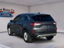 2022 Ford Escape SE at The Motor Company
