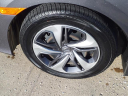Thumbnail image of 2021 Honda Civic at Serra Buick Gmc Champaign