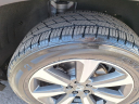 Thumbnail image of 2024 Honda Pilot at Cawood Honda
