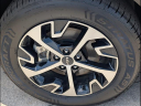 Thumbnail image of 2024 Kia Sportage Hybrid at Kia Of Cleveland