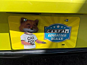Thumbnail image of 2016 Scion iM at Down Home Motors Llc