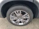 Thumbnail image of 2022 Honda Pilot at The New Babylon Honda