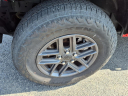 Thumbnail image of 2024 Jeep Wrangler at D'orazio Ford