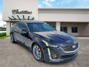 Thumbnail image of 2020 Cadillac CT5 at Ed Morse Bayview Cadillac