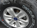 Thumbnail image of 2016 Ford F-150 at Autonation Ford Lincoln Auburn