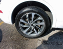 Thumbnail image of 2024 Audi Q5 at Thelen Auto Group