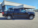 Thumbnail image of 2023 Ford F-150 at Magic City Auto Group