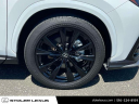 Thumbnail image of 2024 Lexus NX 350 at Stoler Lexus