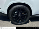 Thumbnail image of 2024 Lexus NX 350 at Stoler Lexus