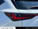 Thumbnail image of 2024 Lexus NX 350 at Stoler Lexus