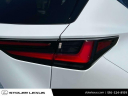 Thumbnail image of 2024 Lexus NX 350 at Stoler Lexus