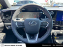 Thumbnail image of 2024 Lexus NX 350 at Stoler Lexus