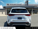 Thumbnail image of 2024 Lexus NX 350 at Stoler Lexus