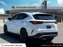 Thumbnail image of 2024 Lexus NX 350 at Stoler Lexus