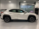 Thumbnail image of 2022 Lexus UX 200 at Lexus of Southampton