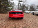 Thumbnail image of 2016 Ford Mustang at M&M Luxury Motors