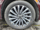 Thumbnail image of 2025 Hyundai PALISADE at New-PiazzaHyundaiOfWestChester of West Chester, PA
