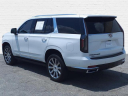 Thumbnail image of 2023 Cadillac Escalade at Bill Black Chevrolet Cadillac