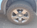 Thumbnail image of 2024 Honda Ridgeline at Lou Fusz Toyota