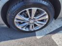 Thumbnail image of 2023 Cadillac XT6 at Smart Ford