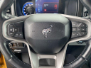 Thumbnail image of 2022 Ford Bronco at NEW - Hillyers Mid City Ford