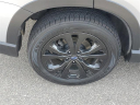 Thumbnail image of 2023 Subaru Forester at Volkswagen of Grand Blanc