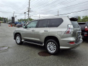 Thumbnail image of 2022 Lexus GX 460 at Tri-County Lexus