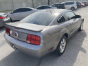 Thumbnail image of 2008 Ford Mustang at Verena Automotive, Inc.