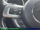 Thumbnail image of 2020 Ford Mustang at MtOrabFord NEW