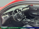 Thumbnail image of 2020 Ford Mustang at MtOrabFord NEW