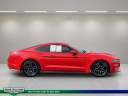 Thumbnail image of 2020 Ford Mustang at MtOrabFord NEW