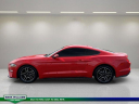 Thumbnail image of 2020 Ford Mustang at MtOrabFord NEW