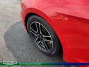 Thumbnail image of 2020 Ford Mustang at MtOrabFord NEW