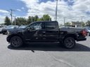 Thumbnail image of 2023 Ford F-150 at FBWC USED