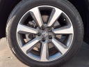 Thumbnail image of 2024 Honda Pilot at Shottenkirk Honda Of Davis