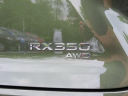 Thumbnail image of 2023 Lexus RX 350 at DCH Honda of Nanuet