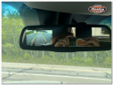 Thumbnail image of 2016 Ram 1500 at HEALEY AUTO REPAIR LLC