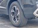 Thumbnail image of 2024 Kia Sportage at Jack Phelan Chevrolet NEW