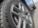 Thumbnail image of 2023 Honda Passport at TyrrellChevrolet (Also Ford and Honda used)