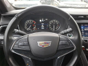 Thumbnail image of 2023 Cadillac XT5 at Randy Marion Chevrolet, Buick, Cadillac, GMC, Subaru, Ford, Lincoln, Chrysler, Jeep, Ram