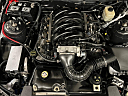 Thumbnail image of 2008 Ford Mustang at Daniel Auto Sales